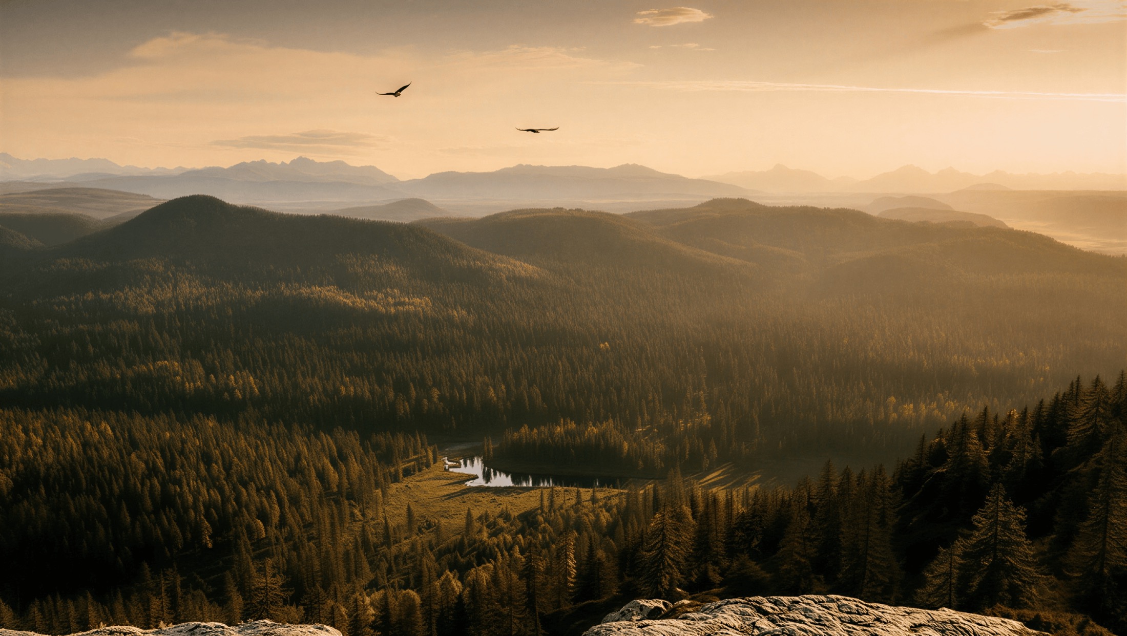Protected mountain forest glowing in the morning light
